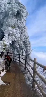 Snowy mountain path with a serene sky and scenic landscape.