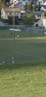 Scenic view of a soccer field in a village setting with green grass.