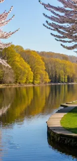 Serene spring lake with cherry blossoms and green trees on a sunny day.