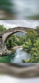 A scenic stone bridge over a lush green river.