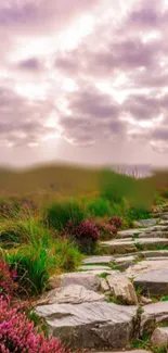 Stone pathway under pink sky with lush greenery.