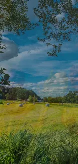 Beautiful summer field with hay bales and blue sky.