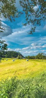 Serene summer field with blue sky and clouds.