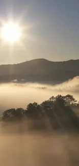 Sunrise casting light over misty mountains and trees.