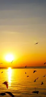 Beautiful sunrise with birds over ocean view, golden sky reflecting on water.