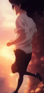 Anime character silhouette against sunset backdrop.