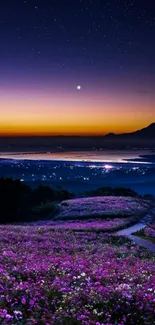 Field of purple flowers under a starry sunset sky.