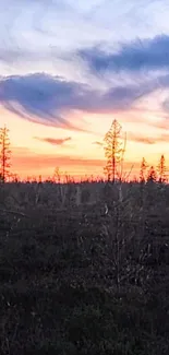 Beautiful sunset over a tranquil wild landscape with a colorful sky.