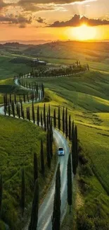 Winding road through fields at sunset with rich green hues.