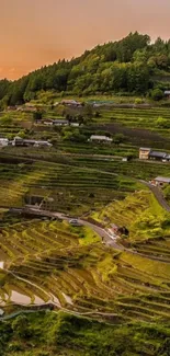 Terraced fields landscape under a warm sunset with lush greenery and orange sky.