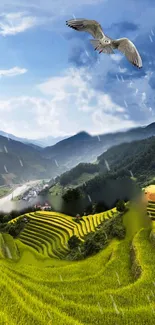 Scenic landscape with green fields and a seagull flying under a blue sky.