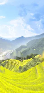 Vibrant yellow terraced hills under a blue sky.