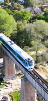 Train on bridge through lush green scenery