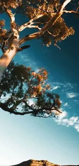 Majestic tree with blue sky and mountain backdrop in mobile wallpaper.