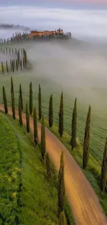 Serene Tuscany countryside with foggy hills and vibrant green fields.