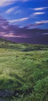 Scenic twilight landscape with lush greenery and dramatic sky.