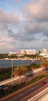 Scenic coastal urban road with palm trees and buildings.