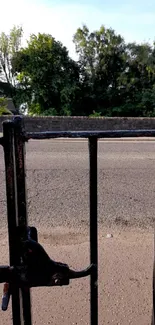 Scenic view through a black fence with greenery and road.