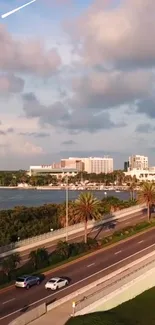 Scenic waterfront with road, palm trees, and city skyline under a blue sky.