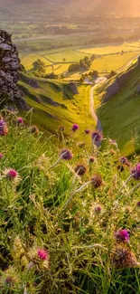 Landscape view during golden hour with wildflowers and lush green valley.