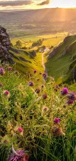 Beautiful sunrise over a green valley with vibrant wildflowers.