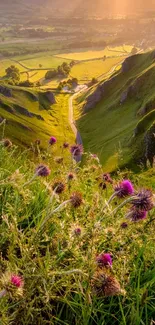 Scenic valley at sunrise with green hills and wildflowers.