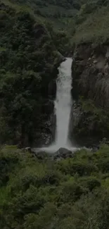 A tranquil waterfall flows through a lush forest setting.