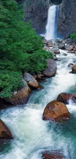 Waterfall cascading through lush forest with rocks.