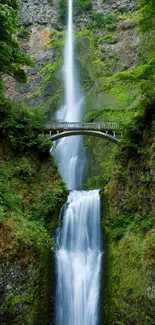 Scenic waterfall cascading beneath a tranquil bridge surrounded by greenery.