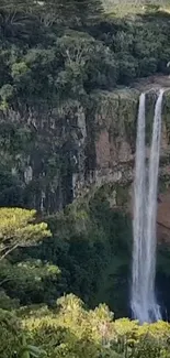 Waterfall cascading down a lush forest cliff.