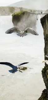 Majestic waterfall with soaring seagulls and rugged cliffs.