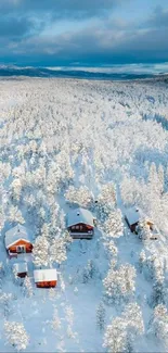 Aerial view of snow-covered cabins amidst a tranquil winter forest landscape.