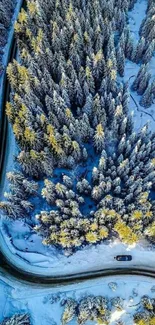 Aerial view of a snowy forest road winding through a winter landscape.