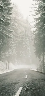 Misty winter forest road with snow-covered trees and overcast sky.