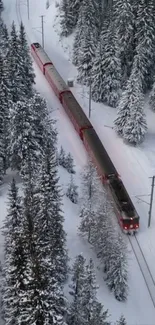 Red train travels through snow-covered pine forest in winter scenery.