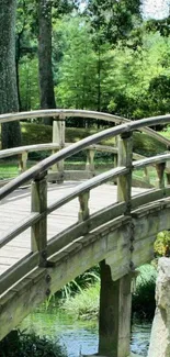 Serene wooden bridge with lush green forest backdrop.