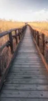 Serene wooden pathway through golden fields at sunset.