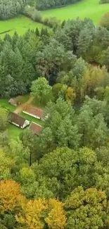 Aerial view of lush green forest with scattered rustic houses and vibrant foliage.