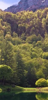 Serene woodland and lake with lush greenery.