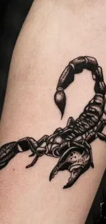 Scorpion tattoo on arm in high detail.