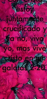 Vibrant pink floral wallpaper with Galatians 2:20 scripture.