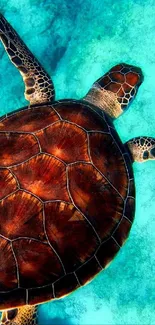 Vibrant sea turtle swimming in clear ocean water.