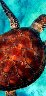 Vibrant sea turtle swimming in clear turquoise water with intricate shell patterns.