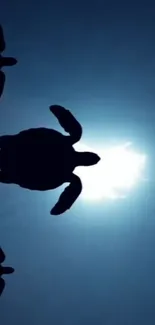 Silhouettes of sea turtles swim against a bright ocean background.