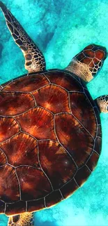 Sea turtle swimming in clear ocean waters, vibrant yet serene.