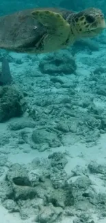 Underwater scene featuring a sea turtle swimming near ocean rocks.