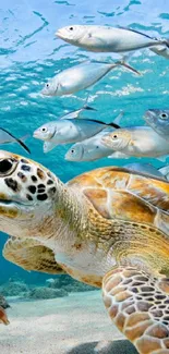 Sea turtle and fish swimming underwater with a vibrant blue ocean background.