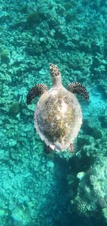 Underwater sea turtle gliding over vibrant coral reef with turquoise background.