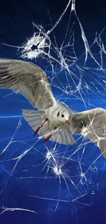 Seagull flying amidst shattered glass with blue background.