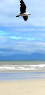 Seagull soaring over a serene, blue beach scene.